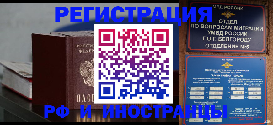 прописка 2025 в Мытищах